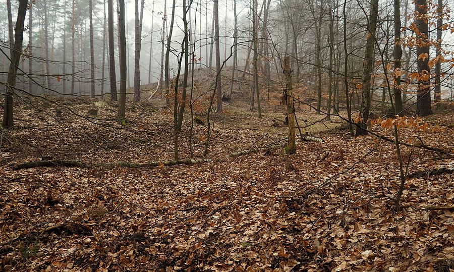 Tutaj nie jest monotonnie.