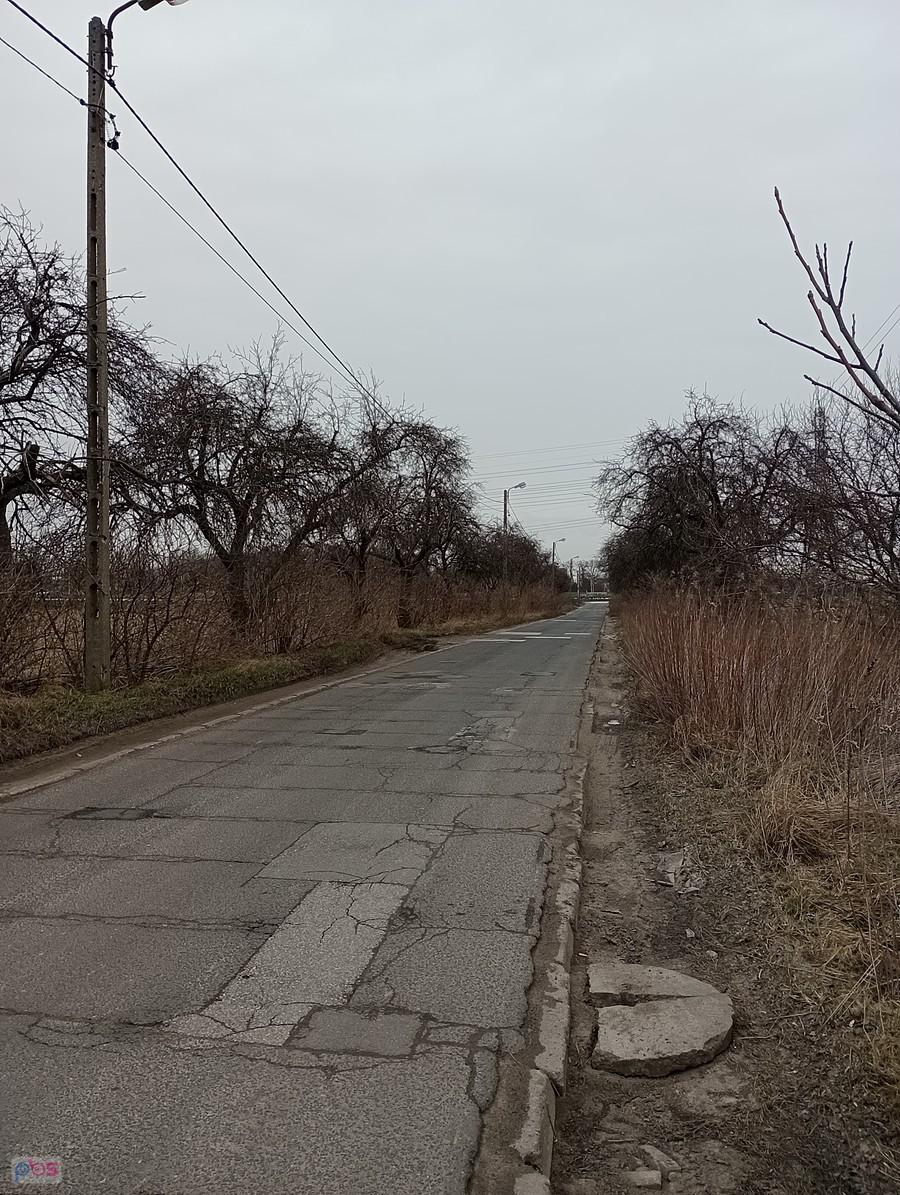 Jednak zostało kilka jabłoni