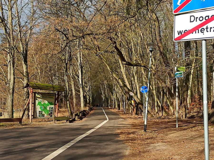 DDR-ka wokół kąpieliska Arkonka.