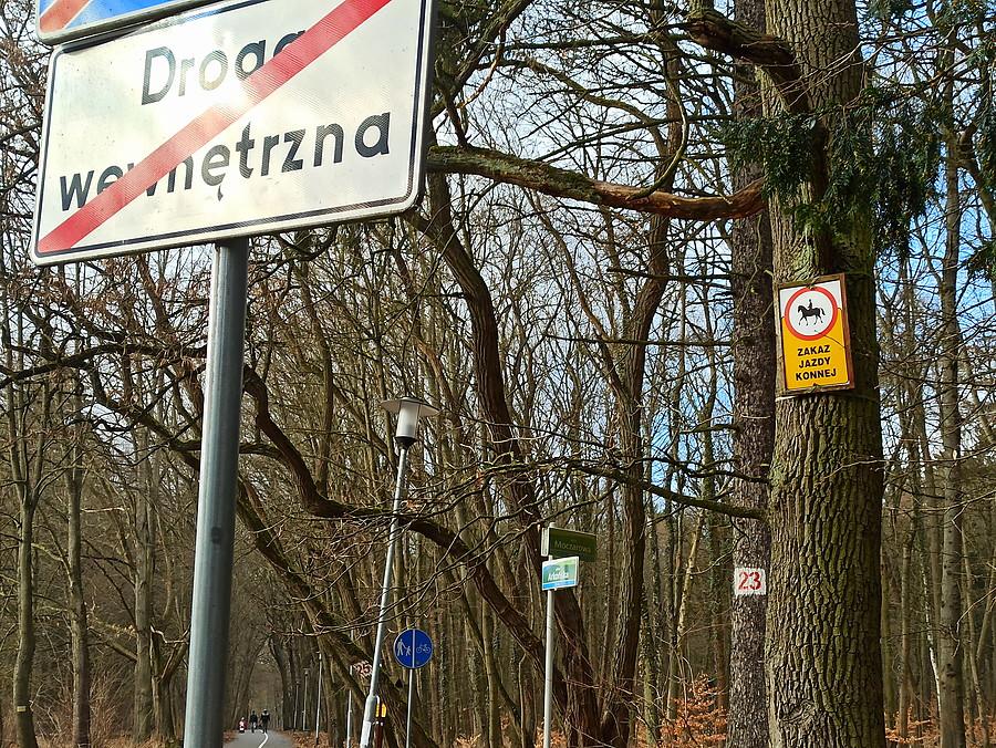 Zaskakujący znak drogowy w Lesie Arkońskim.