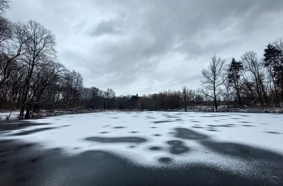 Śnieg na Stawie Dębowym, Dębina
