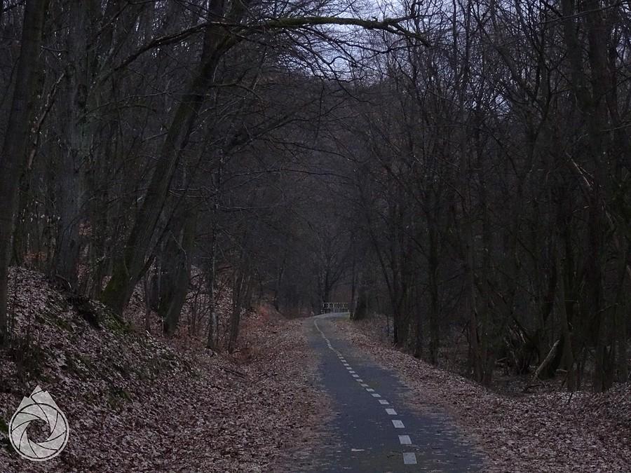 velo-ścieżka do Bozsvy