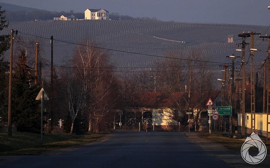 wielka winnica nad Olaszliszką