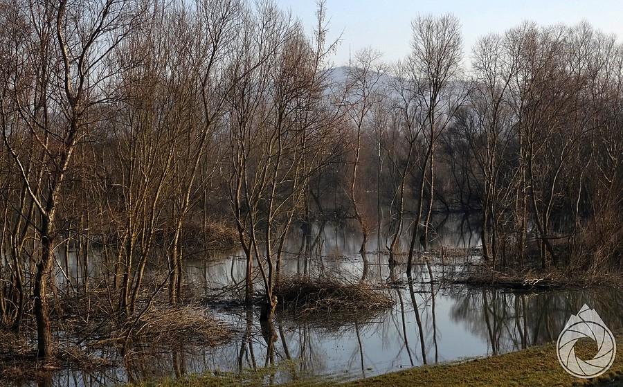 ostatnie spojrzenie na Kopasz-hegy zza wód Bodrogu