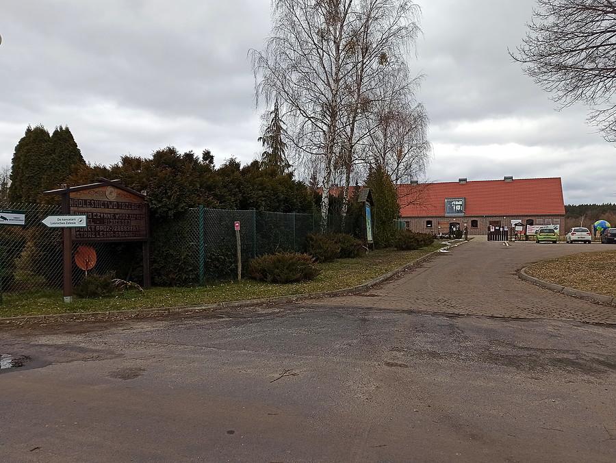 Fotka z Zalesia.