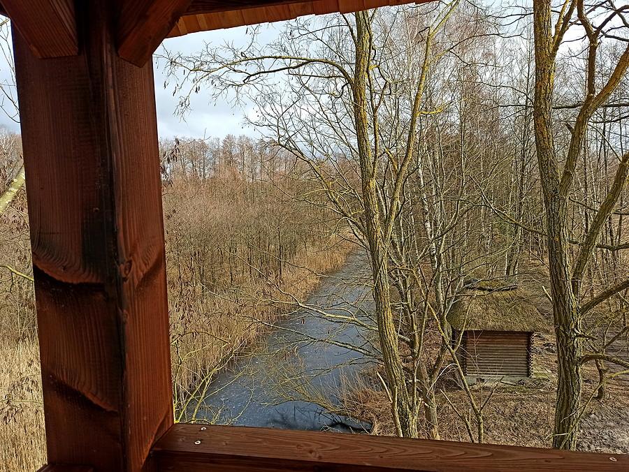 Widok z wieżyczki nad Świdwiem.