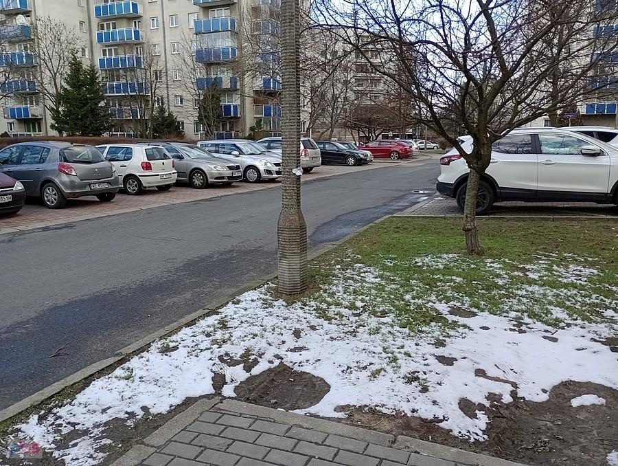 Resztki wczorajszego śniegu