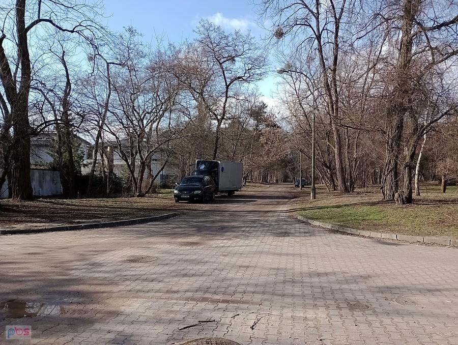 Słoneczny dzień