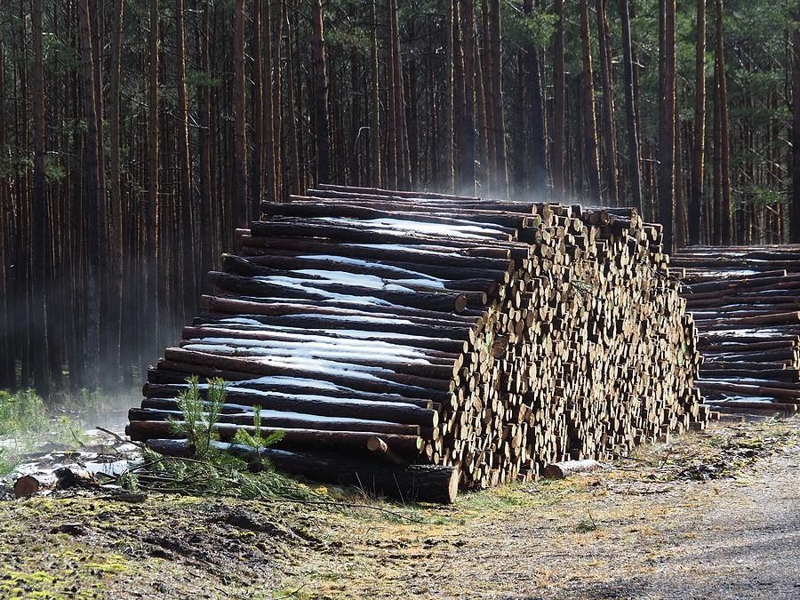10 plus, trochę słońca i resztki śniegu..