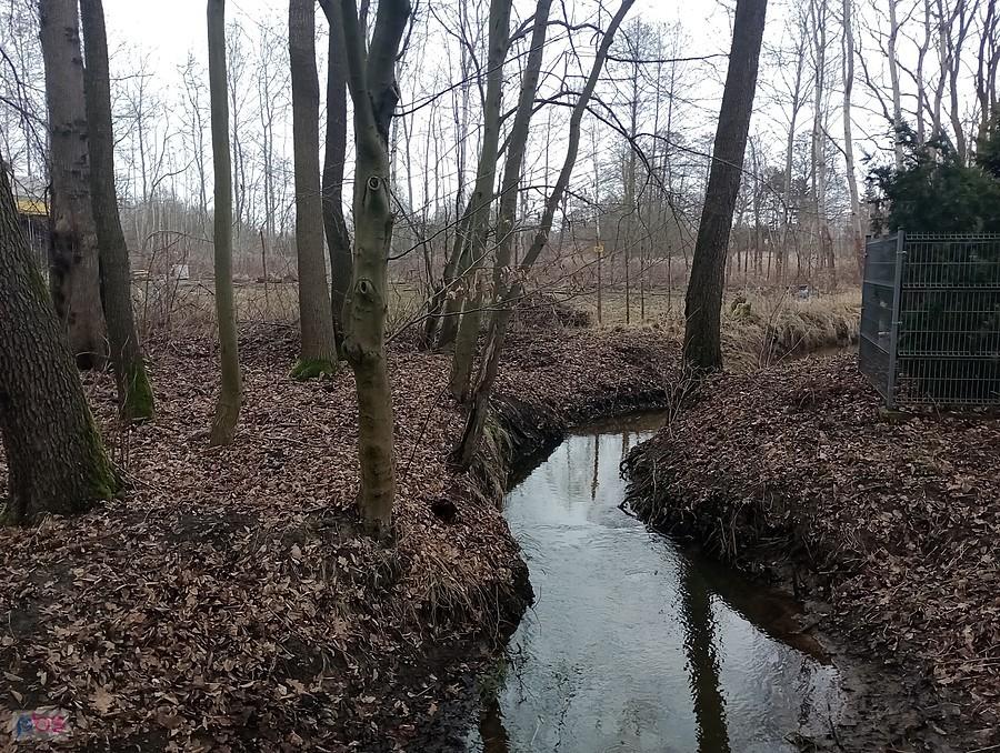 Strumyk w Klaudynie też przybrał