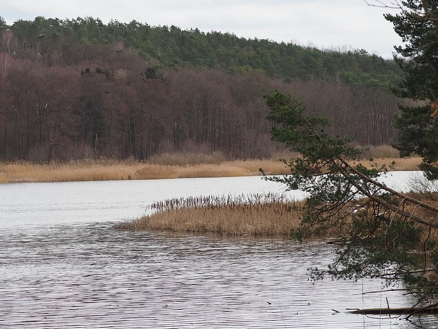 Największy Staw Ośniański i widoczne wzniesienia Łabędziej Góry
