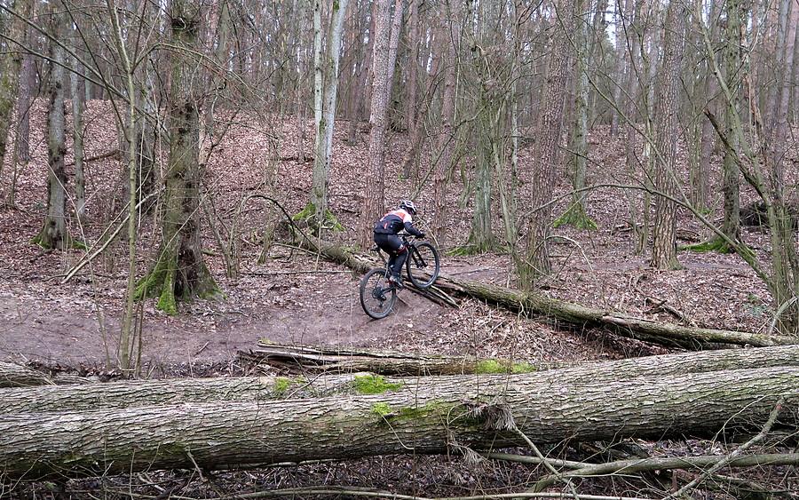 Kolejne zwalisko drzew - jak widać, na MTB da się przejechać