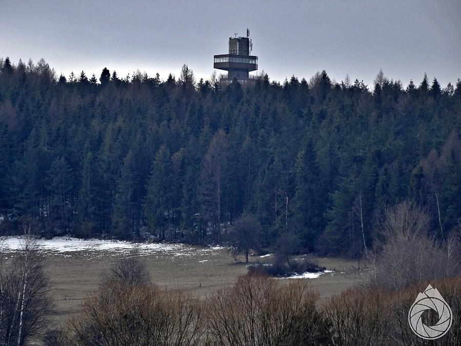 zza drzew wychyla się wieża obserwacyjna muzeum na Dukli za Barwinkiem