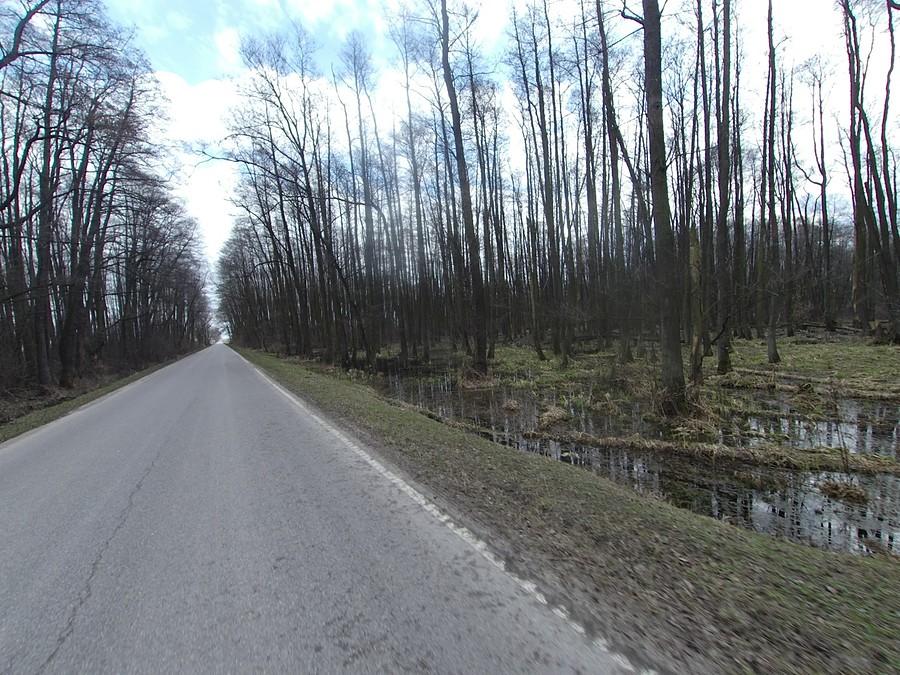 Rezerwat Olszyna Łyczyńska