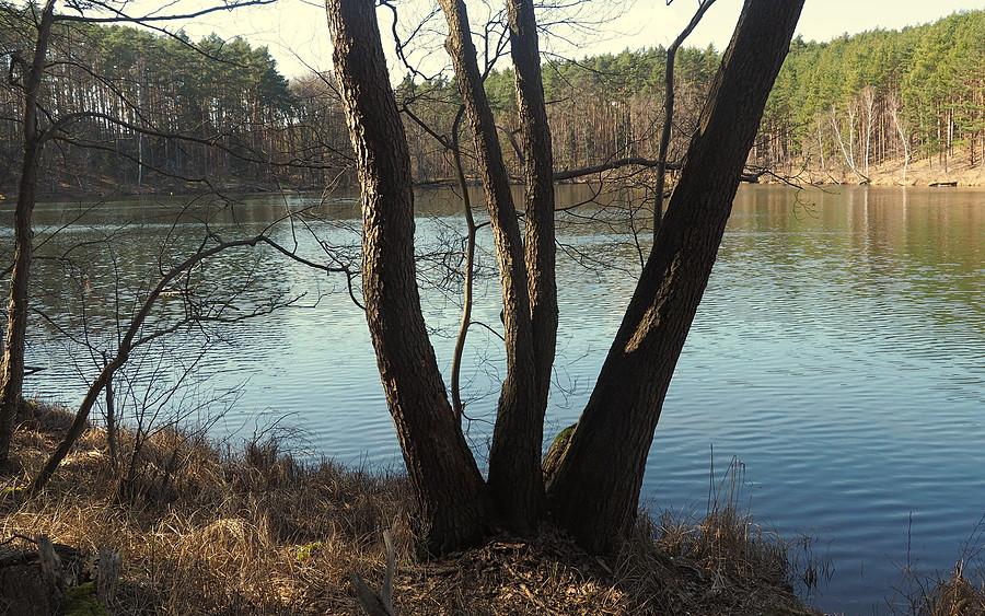 Jezioro Zamkowe Tylne