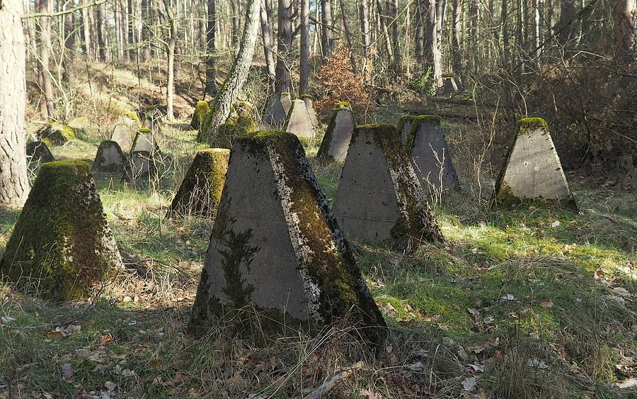 Zęby smoka nad Jeziorną.