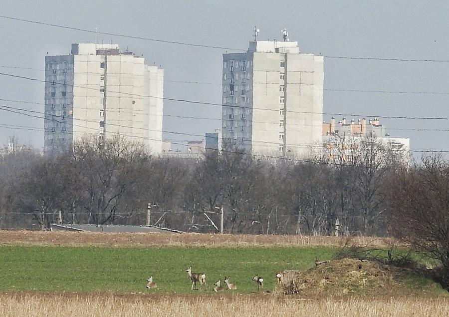 Przyroda na dole, syf na górze