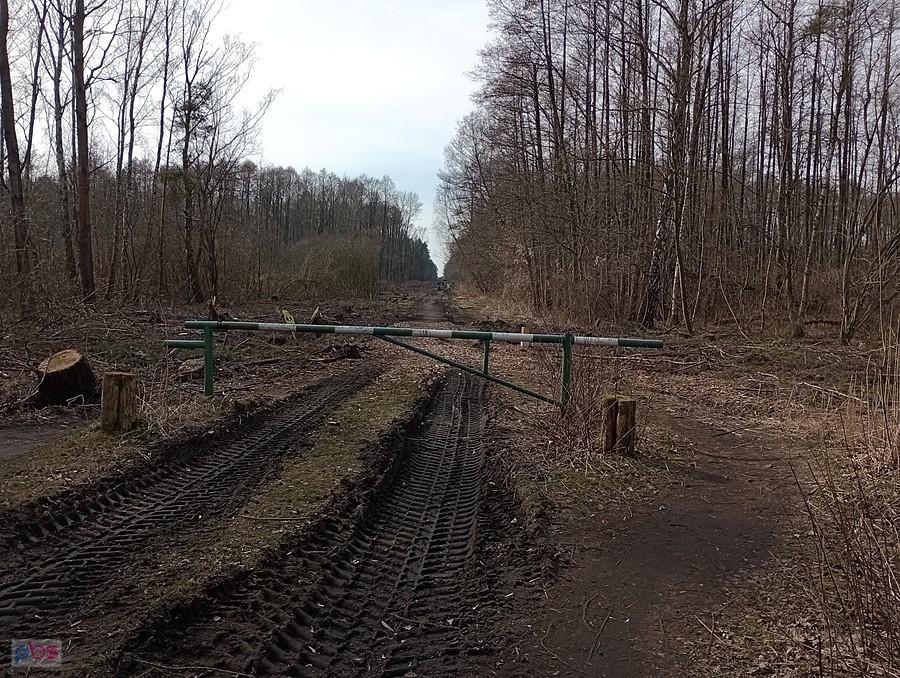 I wzdłuż drogi. Wygląda to fatalnie, ale podobno tędy ma prowadzić gazociąg
