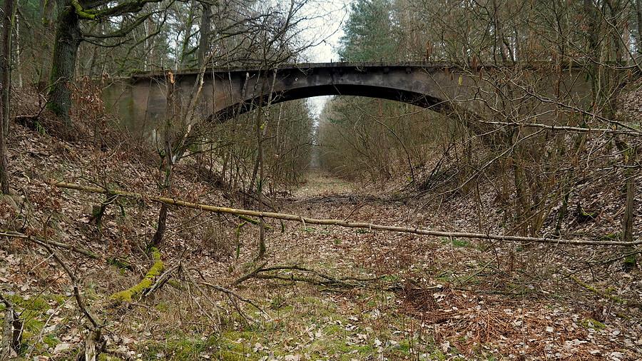 Dawne torowisko linii kolejowej 375 Międzyrzecz-Toporów