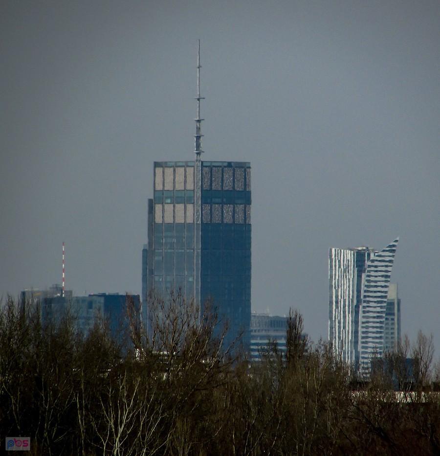 300 metrowy Varso Tower