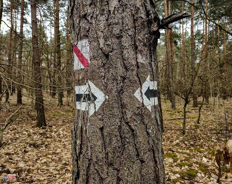 "Nie lubię poniedziałku"