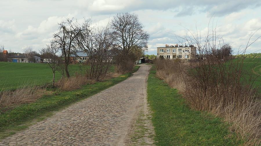 I sam Dębowiec