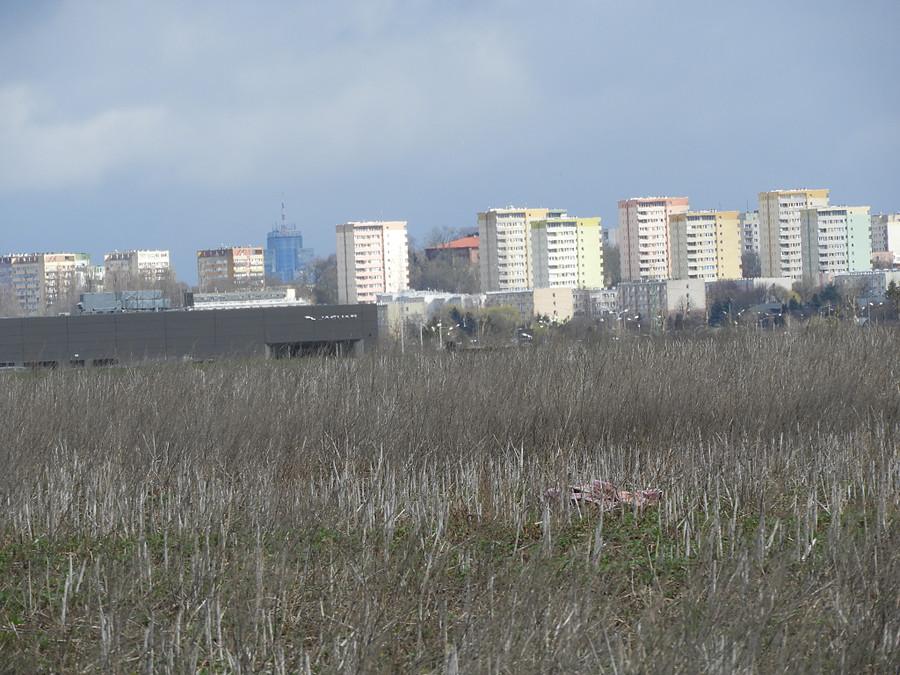 Na skraju Szczecina.