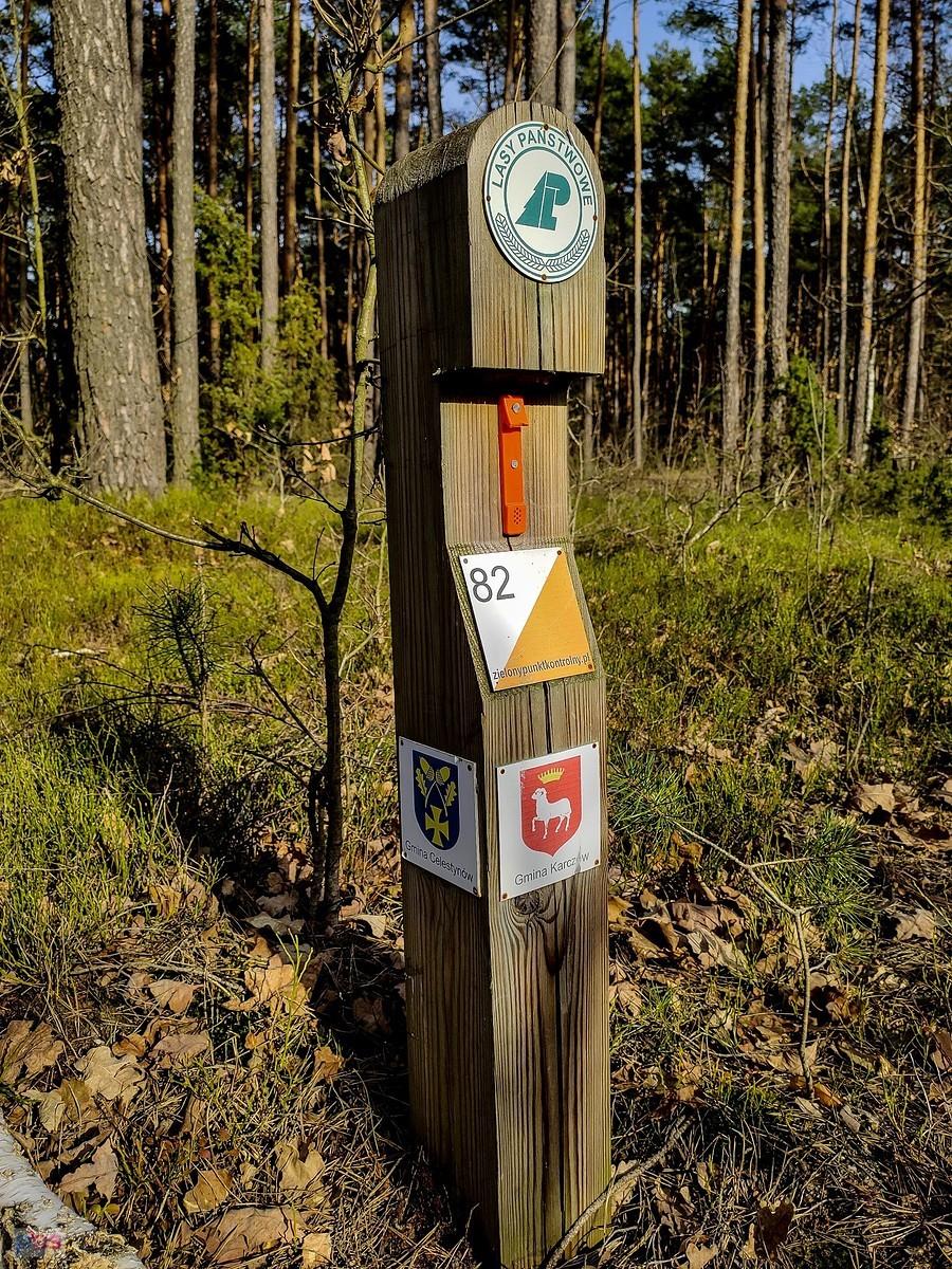 Stały punkt BnO