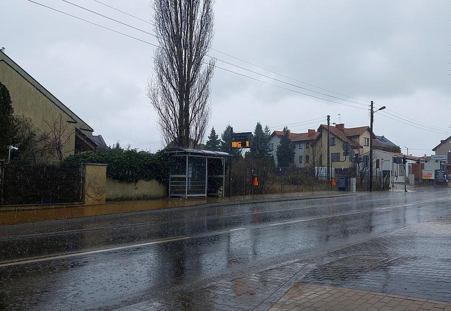 Taka tam niespodzianka
