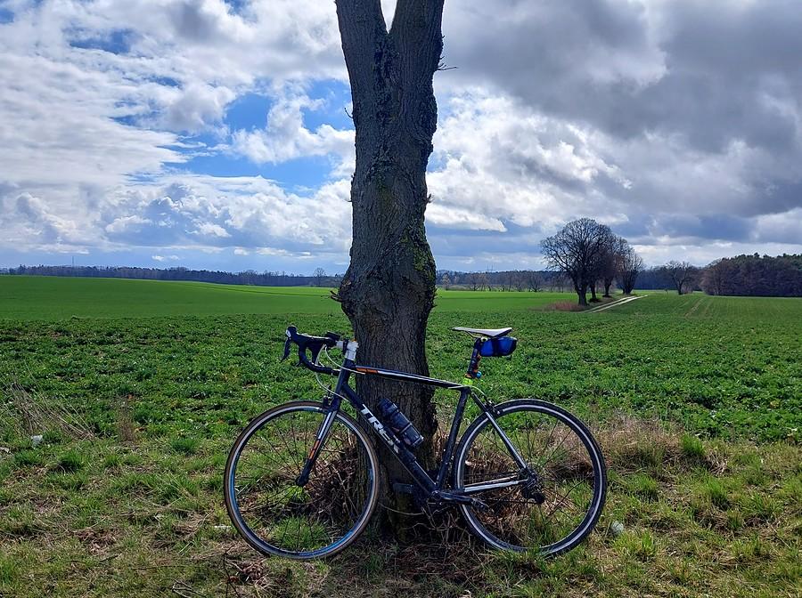 Rowerówka w słonecznym momencie