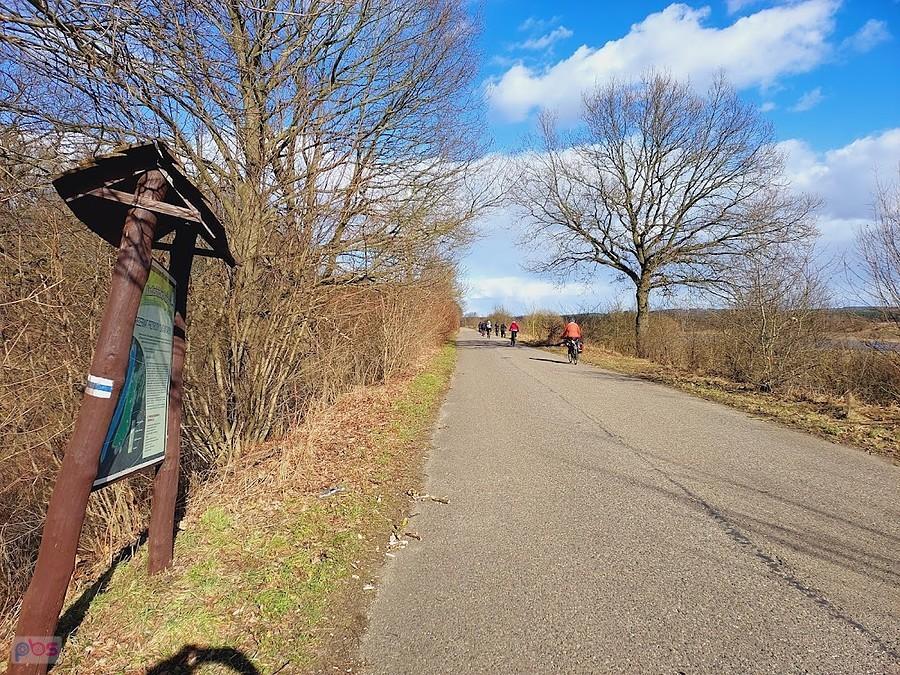 Rezerwat Las Mątowski