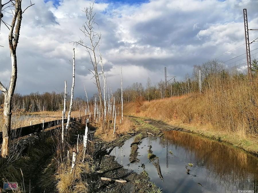 Zabrzański Szlak Rowerowy