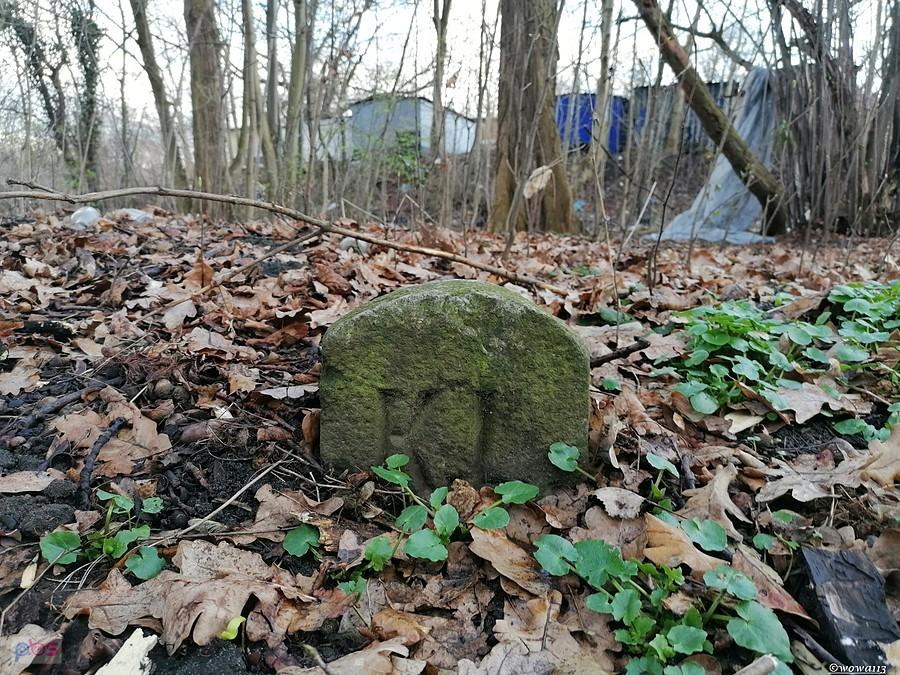 Kamień graniczny pola górniczego kopalni Królowa Luiza (chyba)