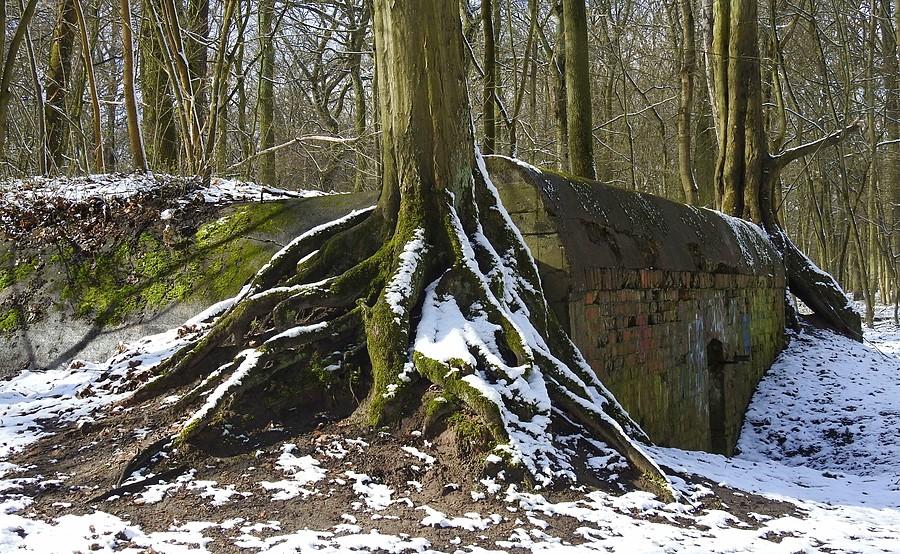 Schron na Dębinie znów w śniegu