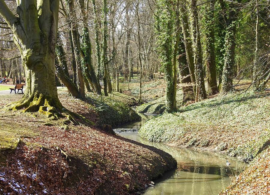 Meandry poznańskiego Sołacza