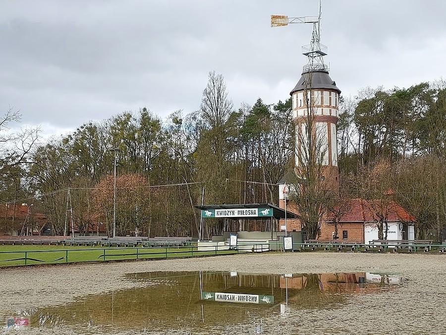 Stadnina koni Miłosna- Kwidzyn