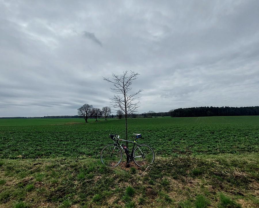 Pochmurnie w Lisówkach