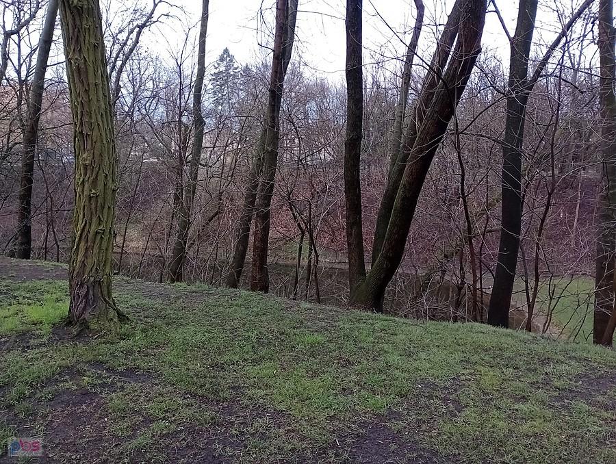 Staw parku przy pomniku Polegli-Niepokonani