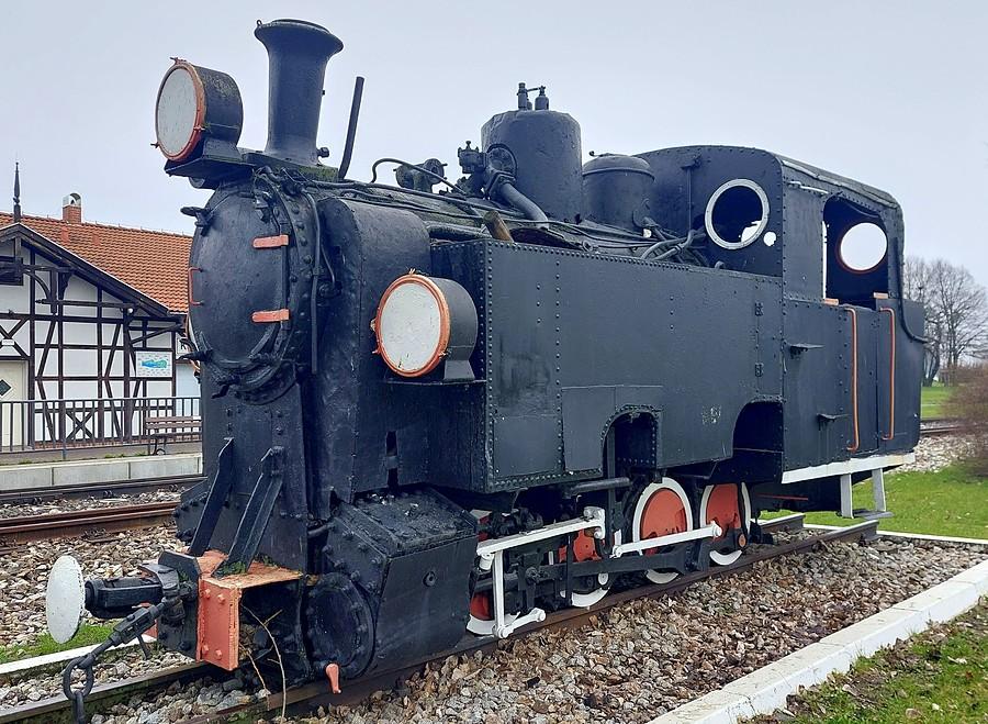 Tendrzak z lewego profilu