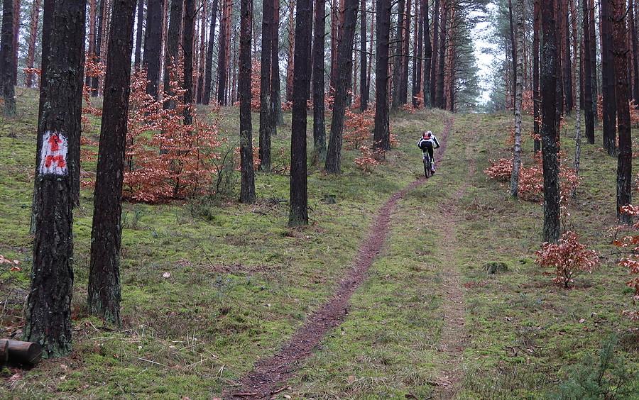 Jedna z kilku solidnych ścianek podjazdowych