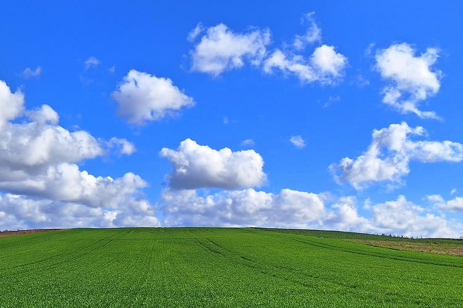 Windows XP wrócił :)