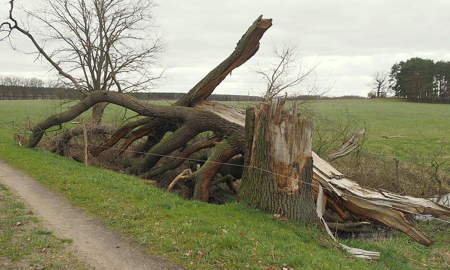 Dłużej nie dał rady