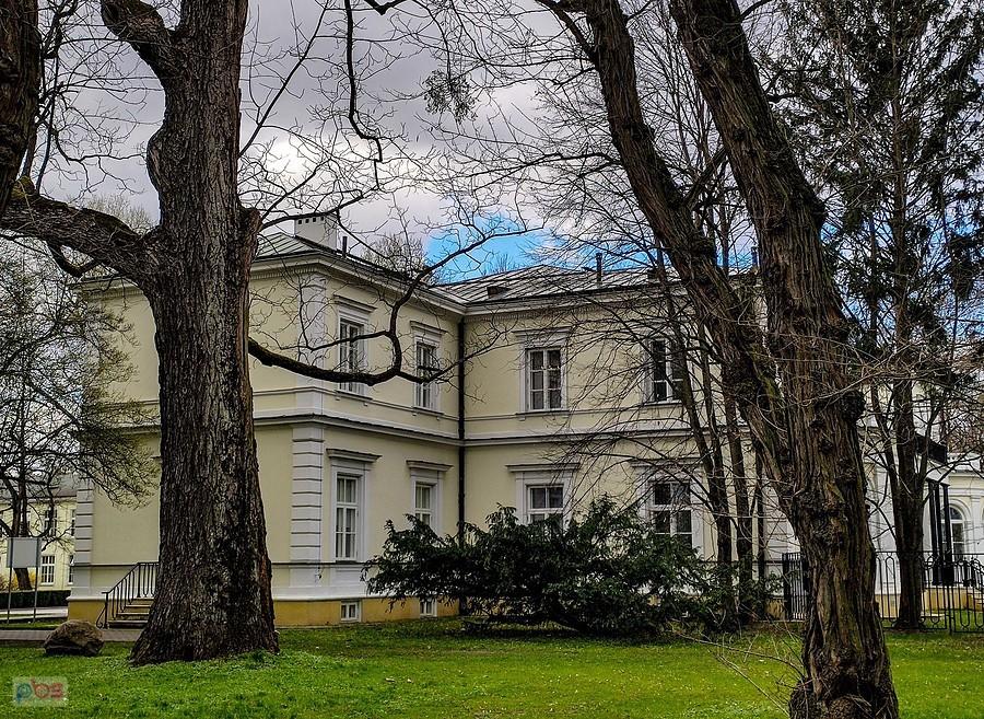 Pałac Krasińskich i pomnikowy orzech czarny