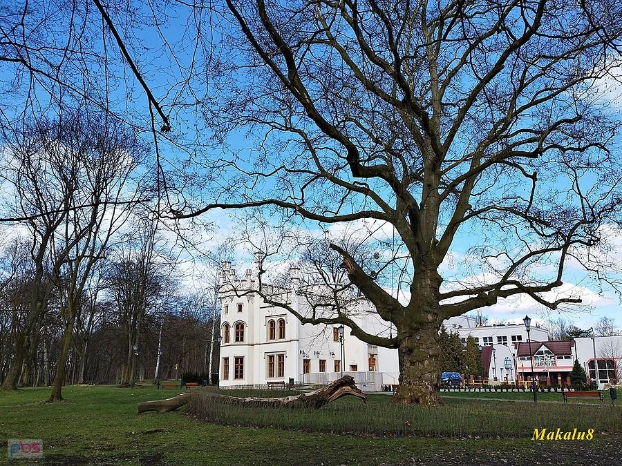 Miechowice