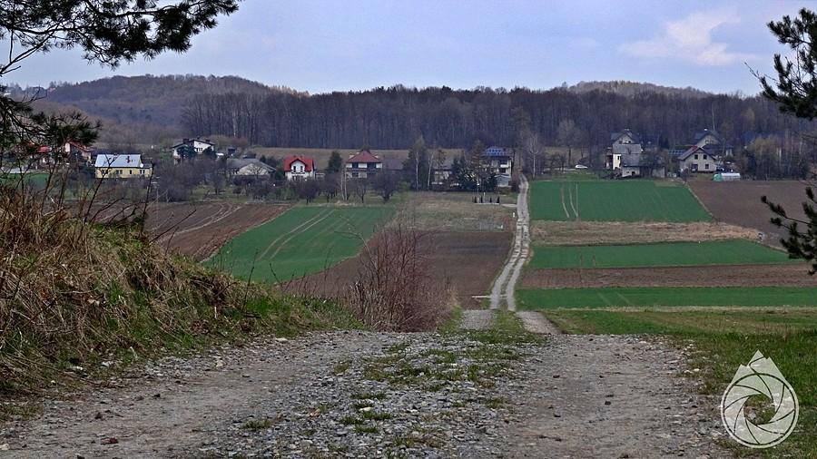 szutrowa prosta na Kawiory z lasu karniowskiego