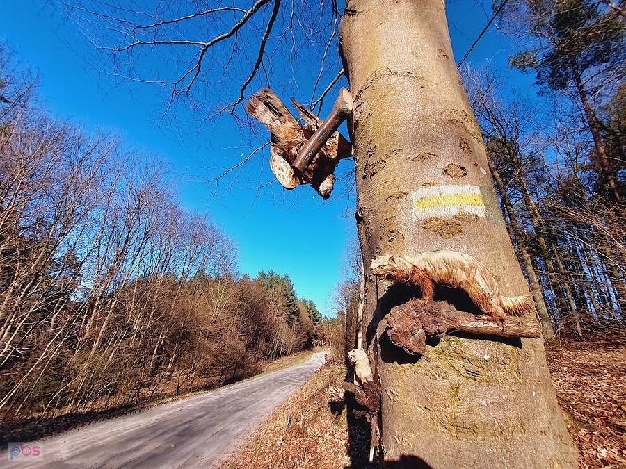 Drzewo z żółtym znakiem szlaku