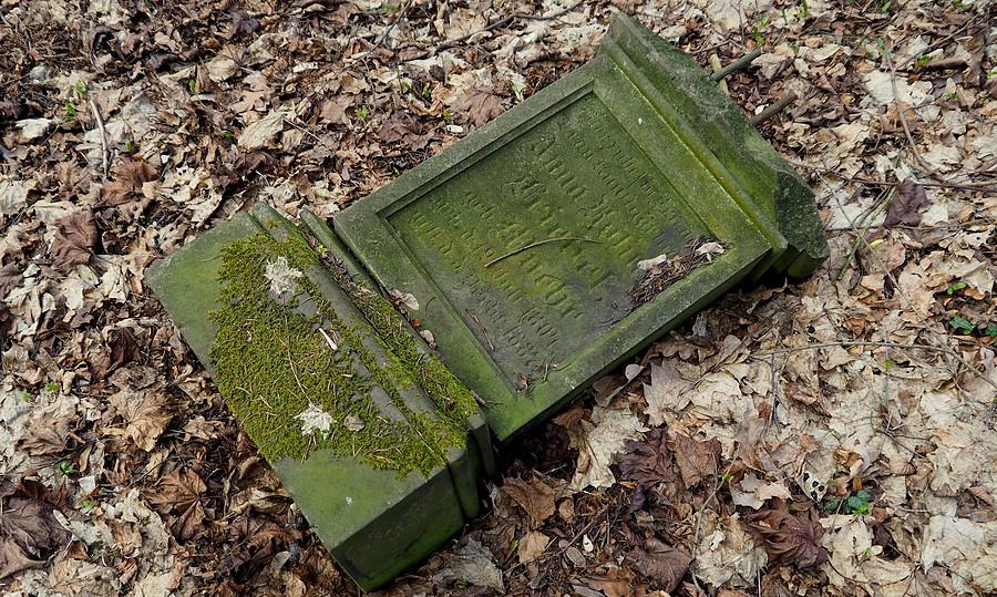 Z trzemesznieńskiego cmentarza ewangelickiego