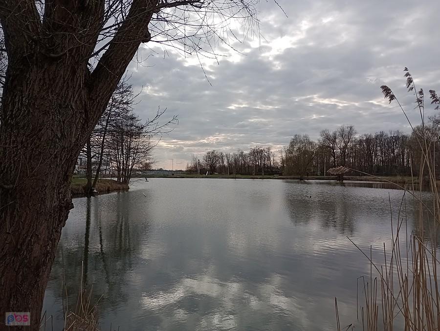 Staw w Zielonkach