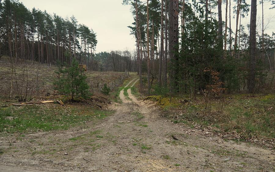 Nad brzegi Obry