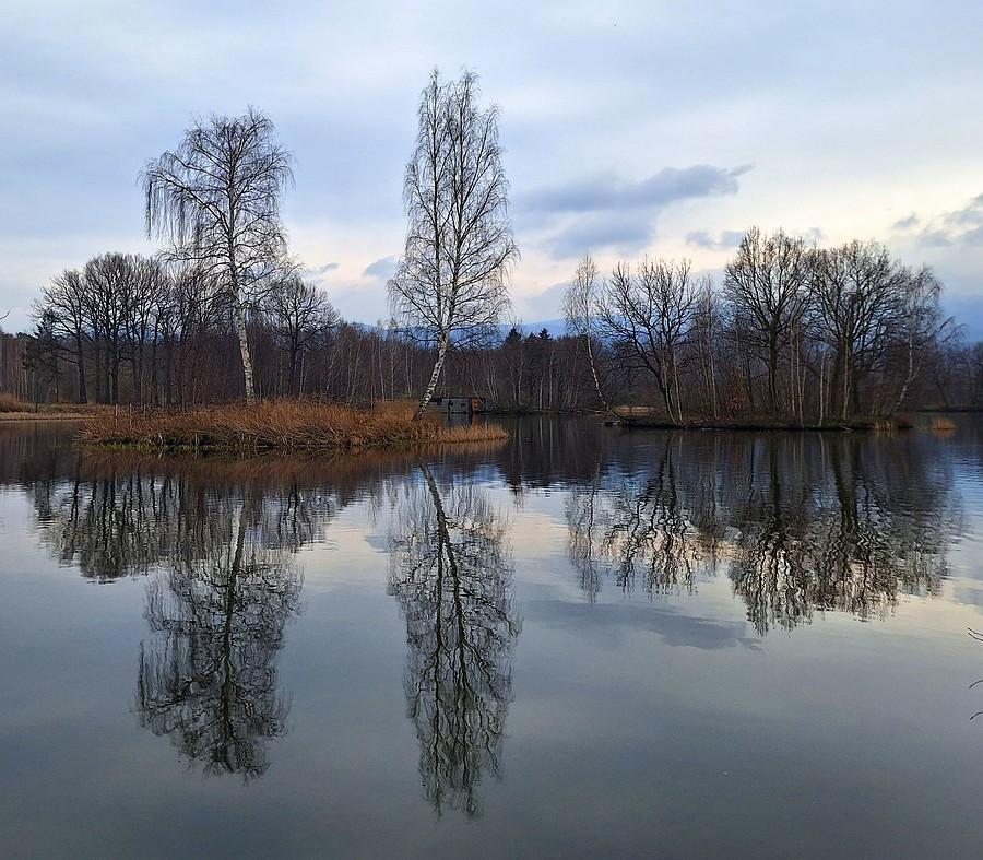 Brzozowe (i nie tylko) odbitki